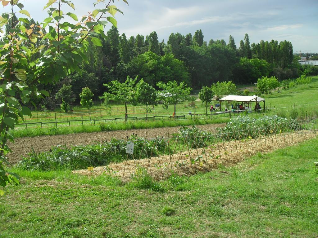 Agriturismo Case Mori Rimini Bagian luar foto